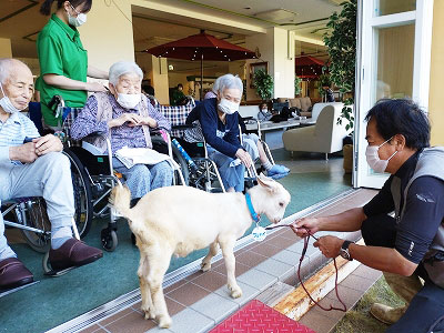 やぎとのふれあいを楽しむ参加者の皆さん